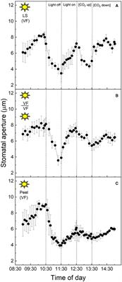 Stomatal Responses to Light, CO2, and Mesophyll Tissue in Vicia faba and Kalanchoë fedtschenkoi